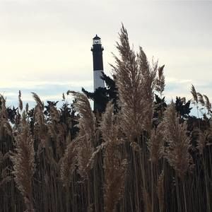 Meet your Posher, Phyllis